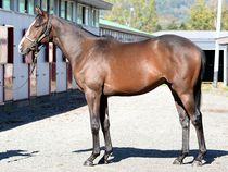 ����å��ǳ��������ɽ�����ޤ�