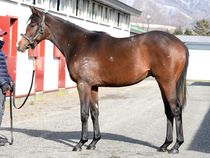 ����å��ǳ��������ɽ�����ޤ�