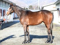 ����å��ǳ��������ɽ�����ޤ�