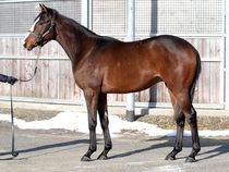 ����å��ǳ��������ɽ�����ޤ�