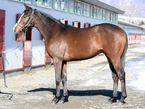 ����å��ǳ��������ɽ�����ޤ�