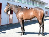 ����å��ǳ��������ɽ�����ޤ�