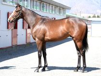 ����å��ǳ��������ɽ�����ޤ�