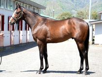 ����å��ǳ��������ɽ�����ޤ�