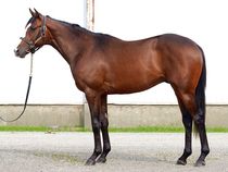 ����å��ǳ��������ɽ�����ޤ�