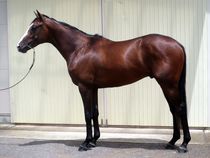 ����å��ǳ��������ɽ�����ޤ�