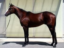 ����å��ǳ��������ɽ�����ޤ�