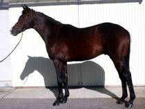 ����å��ǳ��������ɽ�����ޤ�