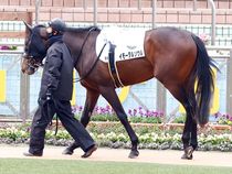 ����å��ǳ��������ɽ�����ޤ�