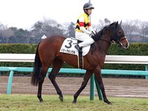 ����å��ǳ��������ɽ�����ޤ�