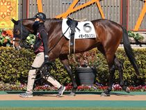 ����å��ǳ��������ɽ�����ޤ�