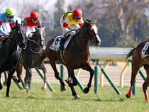 ����å��ǳ��������ɽ�����ޤ�