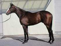 ����å��ǳ��������ɽ�����ޤ�