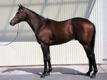 ����å��ǳ��������ɽ�����ޤ�