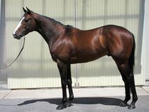 ����å��ǳ��������ɽ�����ޤ�