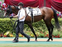 ����å��ǳ��������ɽ�����ޤ�