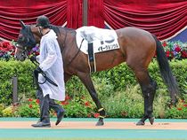 ����å��ǳ��������ɽ�����ޤ�