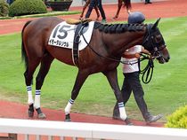 ����å��ǳ��������ɽ�����ޤ�