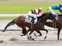 ����å��ǳ��������ɽ�����ޤ�