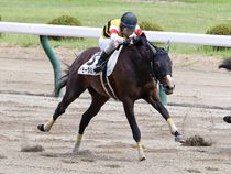 ����å��ǳ��������ɽ�����ޤ�