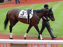 ����å��ǳ��������ɽ�����ޤ�