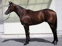 ����å��ǳ��������ɽ�����ޤ�