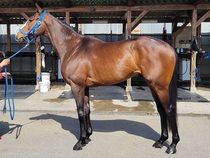 ����å��ǳ��������ɽ�����ޤ�