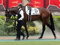 ����å��ǳ��������ɽ�����ޤ�