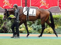 ����å��ǳ��������ɽ�����ޤ�