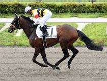 ����å��ǳ��������ɽ�����ޤ�