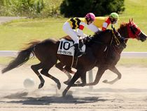 ����å��ǳ��������ɽ�����ޤ�