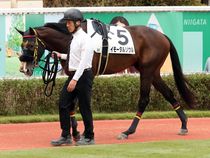 ����å��ǳ��������ɽ�����ޤ�