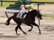 ����å��ǳ��������ɽ�����ޤ�