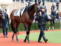 ����å��ǳ��������ɽ�����ޤ�