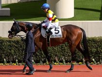 ����å��ǳ��������ɽ�����ޤ�