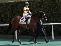 ����å��ǳ��������ɽ�����ޤ�