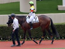 ����å��ǳ��������ɽ�����ޤ�