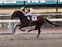 ����å��ǳ��������ɽ�����ޤ�