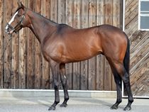 ����å��ǳ��������ɽ�����ޤ�