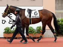 ����å��ǳ��������ɽ�����ޤ�