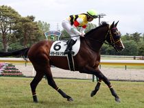 ����å��ǳ��������ɽ�����ޤ�