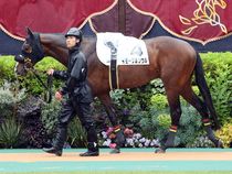 ����å��ǳ��������ɽ�����ޤ�