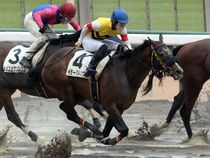 ����å��ǳ��������ɽ�����ޤ�