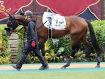 ����å��ǳ��������ɽ�����ޤ�