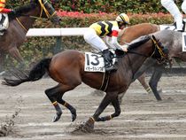 ����å��ǳ��������ɽ�����ޤ�