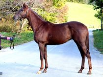 ����å��ǳ��������ɽ�����ޤ�