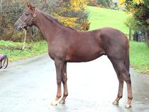 ����å��ǳ��������ɽ�����ޤ�