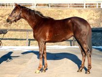 ����å��ǳ��������ɽ�����ޤ�