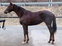 ����å��ǳ��������ɽ�����ޤ�