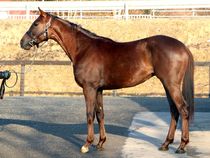 ����å��ǳ��������ɽ�����ޤ�